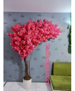 درخت شکوفه سرخابی